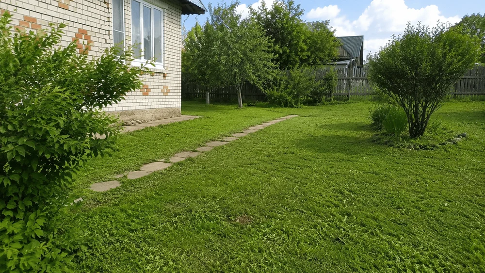 Покос травы в Ярославле